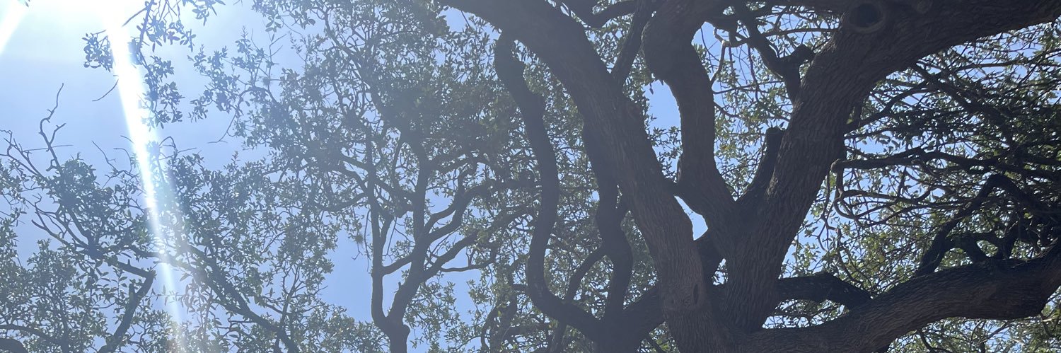 PennyK19's profile banner image