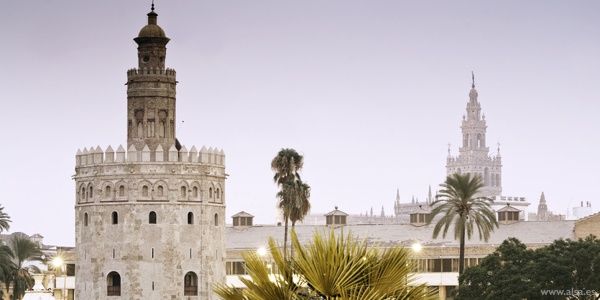 macarenarcr's profile banner image