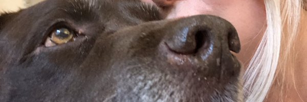 RachaelB100 Profile Banner