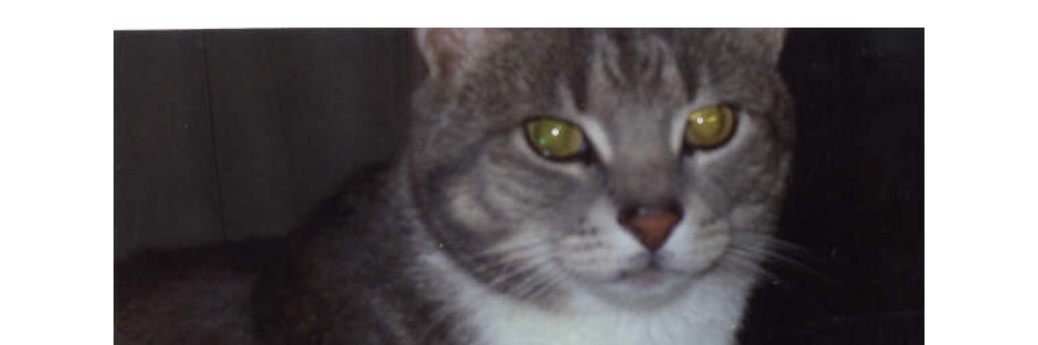 Tezi_K 🤘🏻⚡️ banner