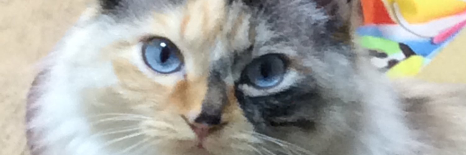 amyurnt's profile banner image