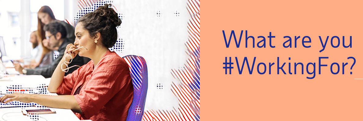 WCCordes's profile banner image