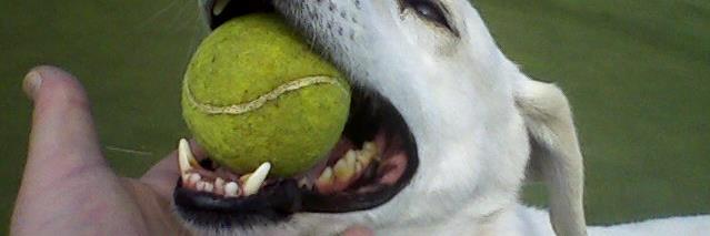 DonaldNBernhar1's profile banner image