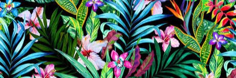pintorL's profile banner image
