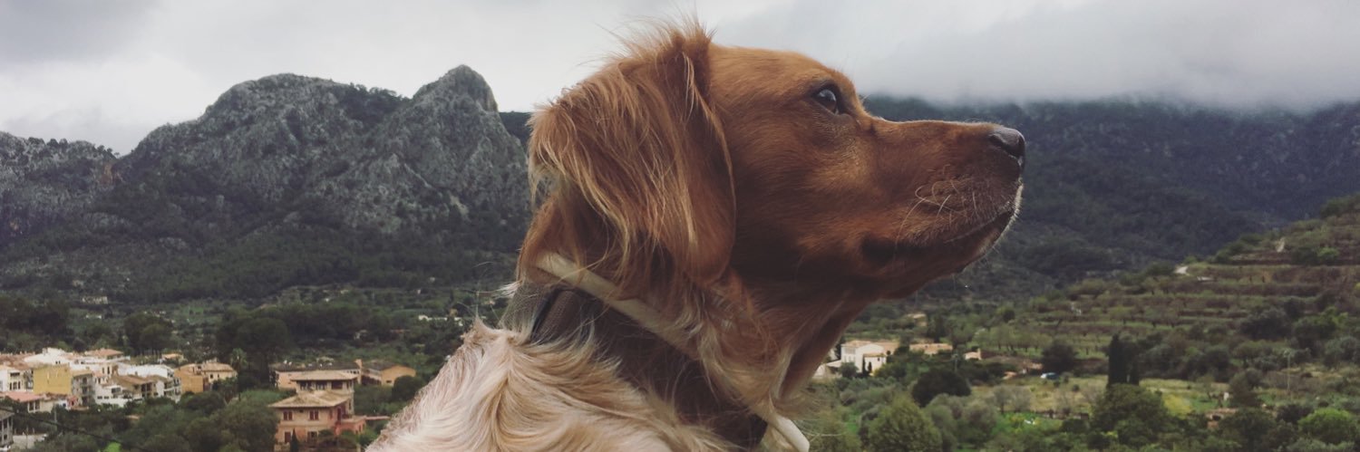 MargaCastell's profile banner image