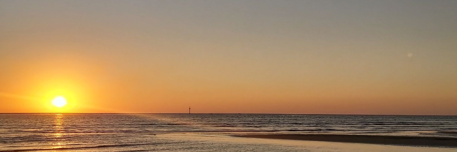 CalicoTrix's profile banner image