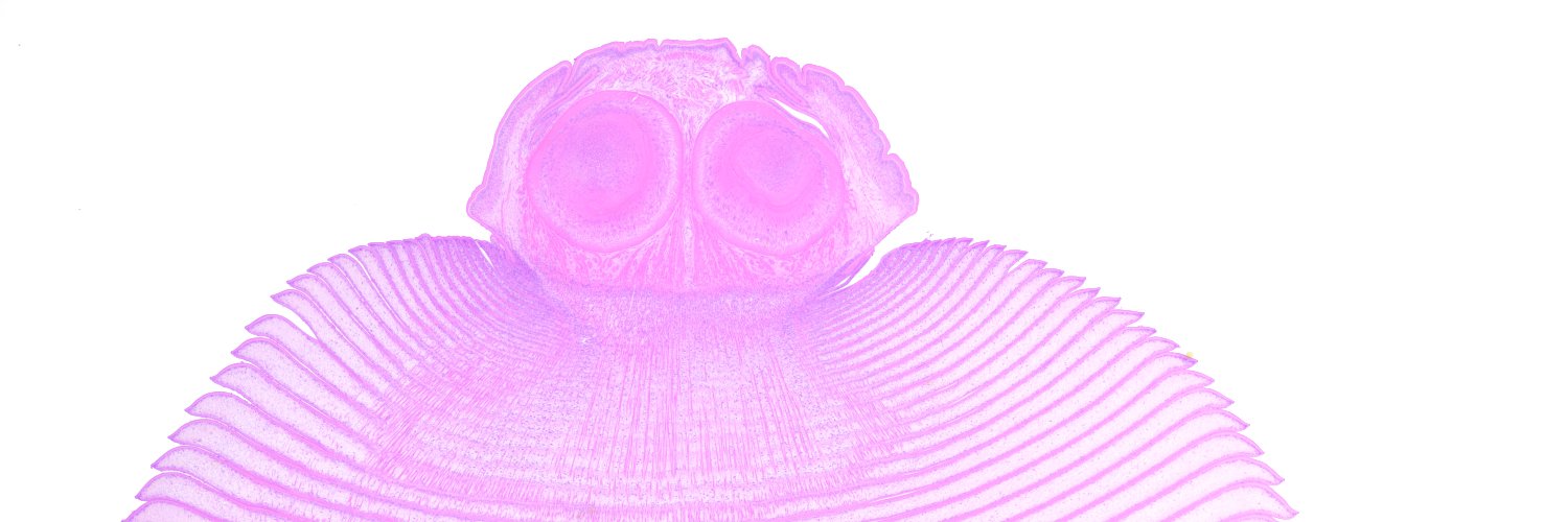 abbydcox's profile banner image