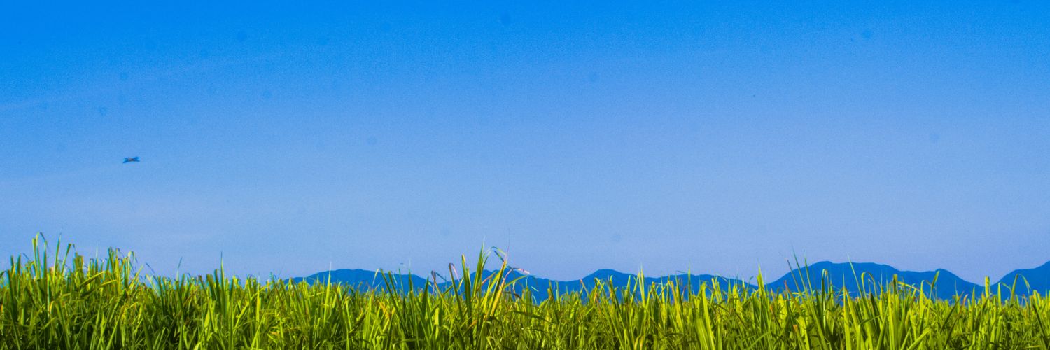 HallLamas's profile banner image