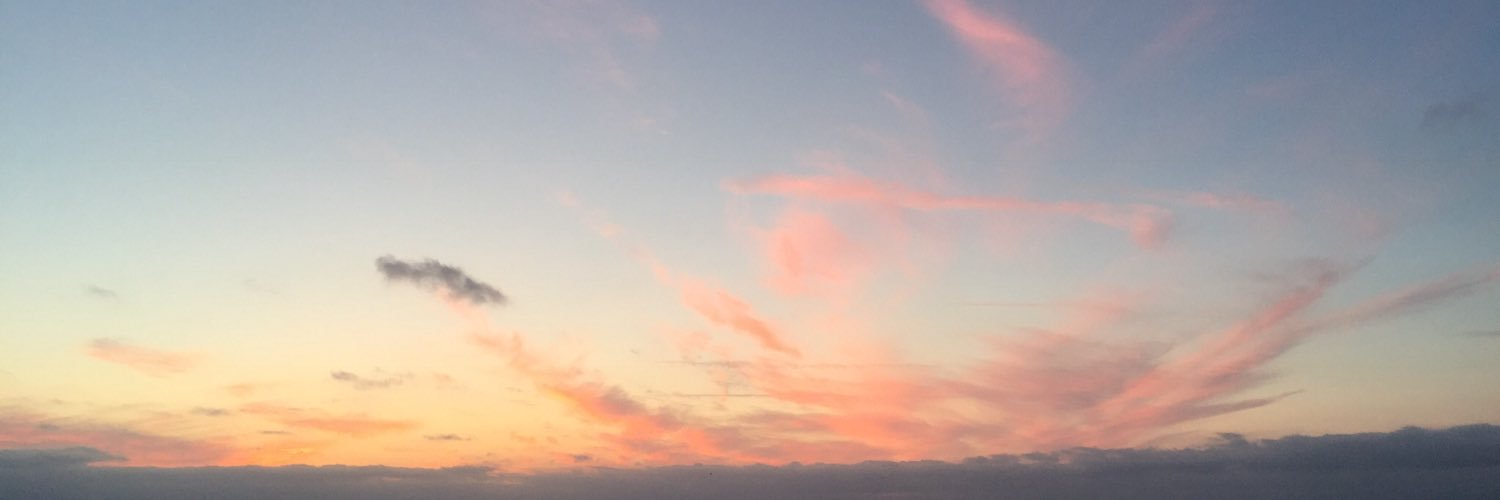 evaemeliefee's profile banner image