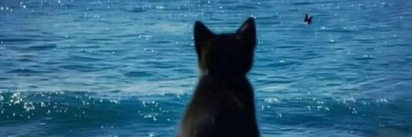 Deus_Flo Profile Banner