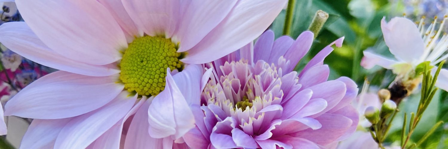 compromessa_'s profile banner image