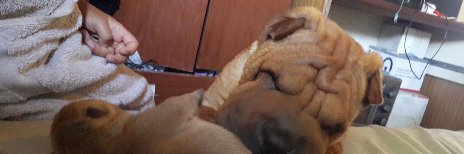 jaz_freak's profile banner image