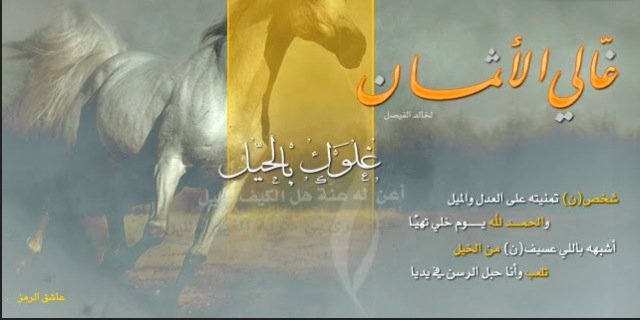 too_fofo's profile banner image