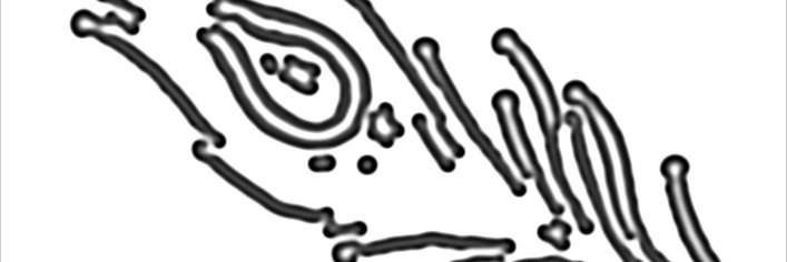 lightesthand's profile banner image