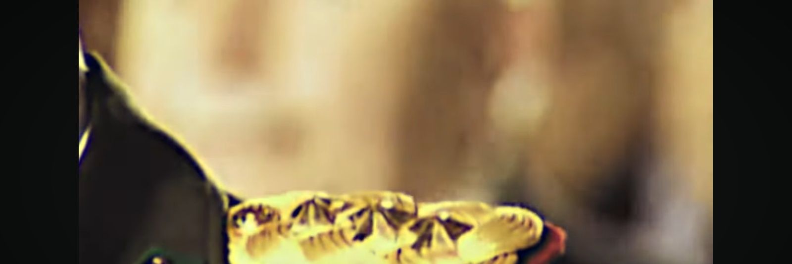 Gteven S.🇹🇷 banner