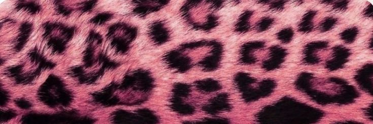 ccookieex's profile banner image