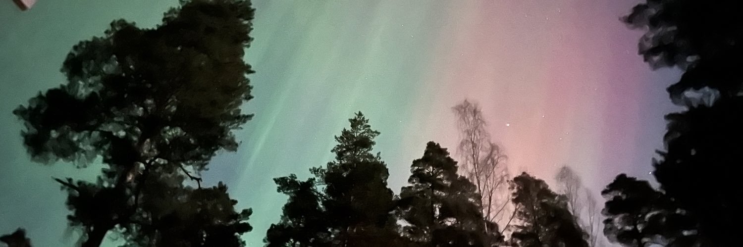susengstad's profile banner image