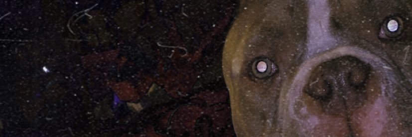 alyek5's profile banner image