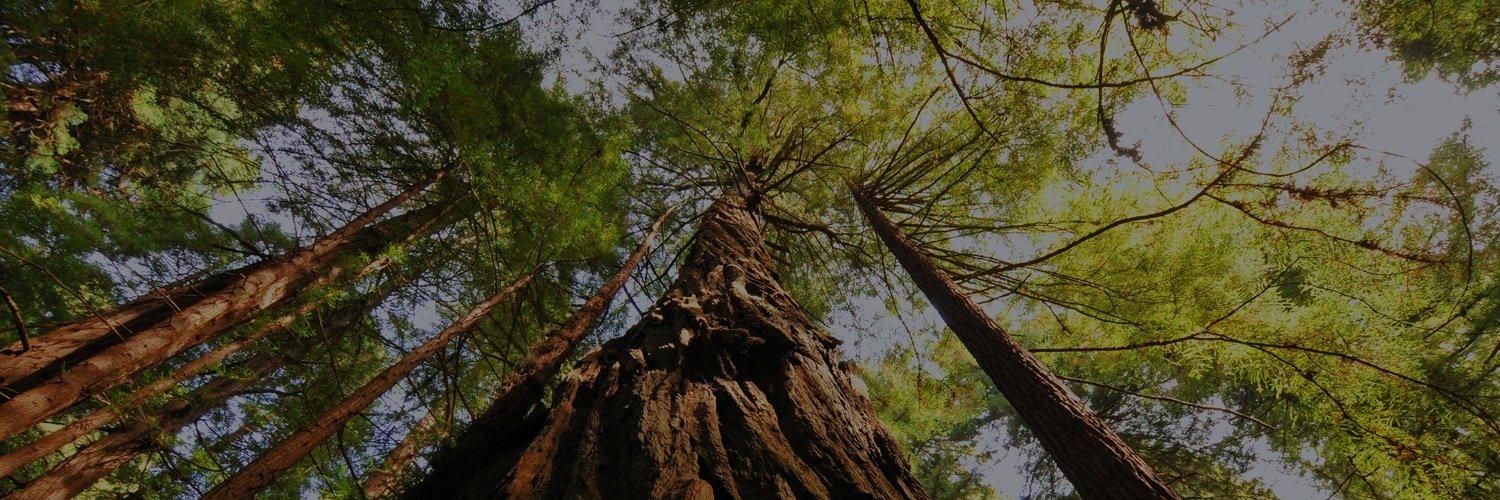 ArborAdvisorsIB's profile banner image