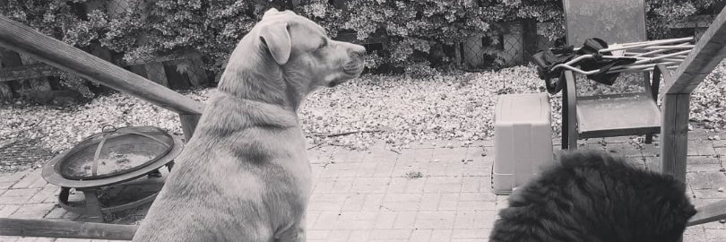 wall2wall.rekt banner