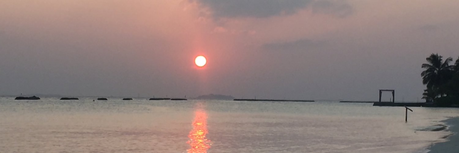 rvf7's profile banner image
