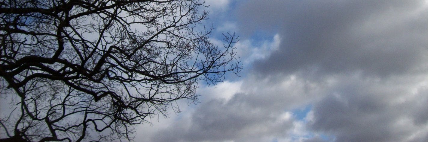 Smigy14's profile banner image