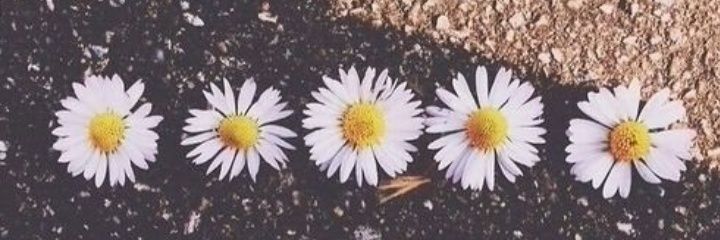 slmchos's profile banner image