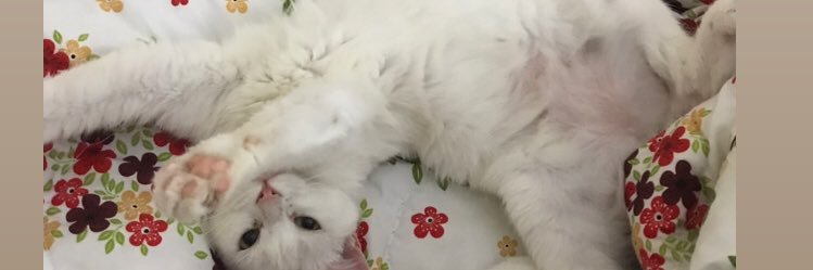 kthmlsm's profile banner image