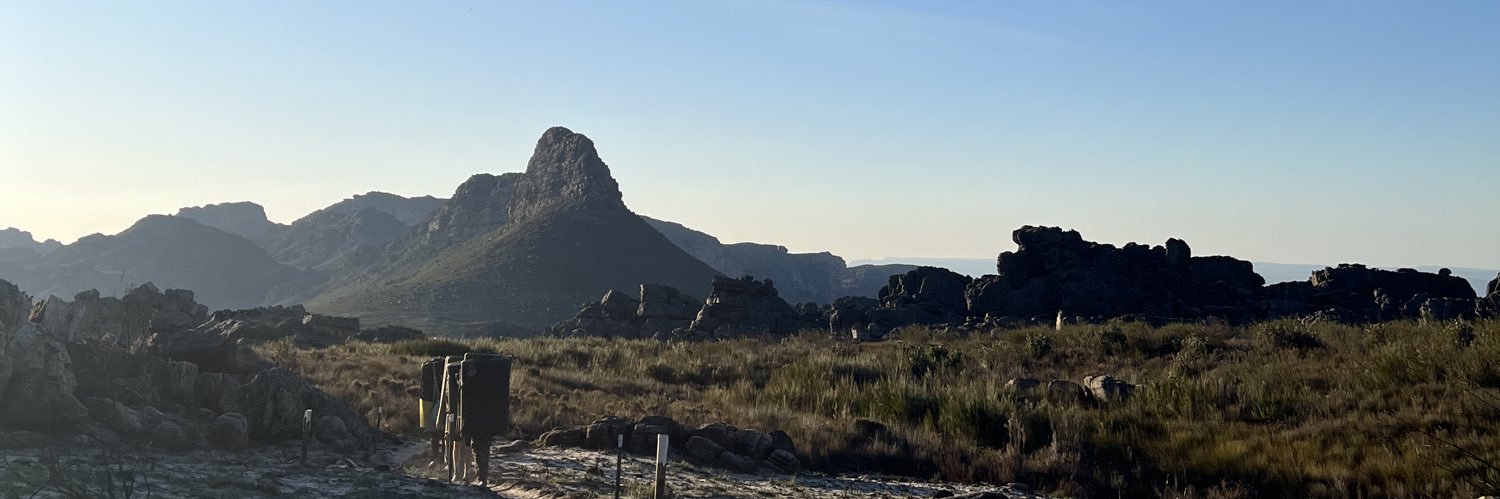 Michelle Georgiou banner