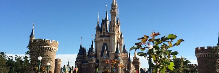 amaliaps24's profile banner image