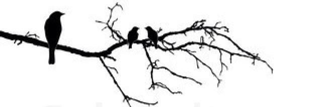 kelly_waldon's profile banner image