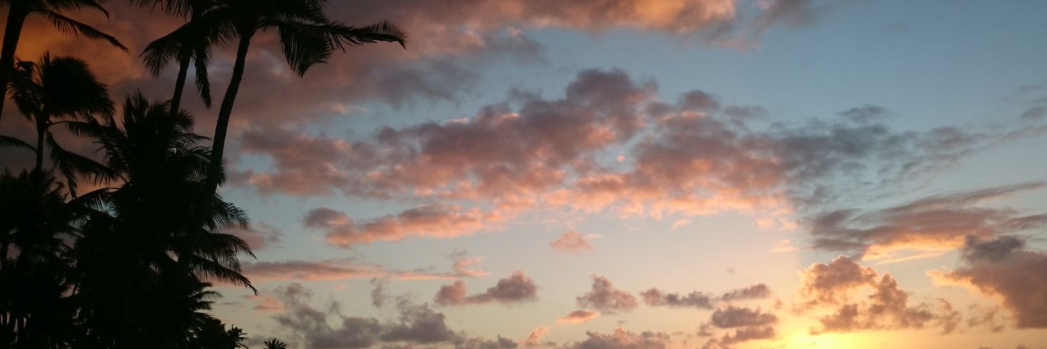 dossiri's profile banner image