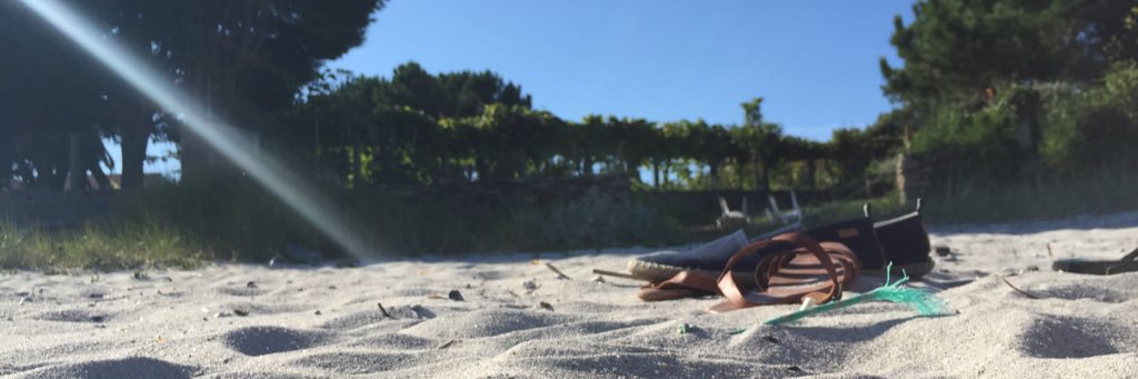 gallo_sebas's profile banner image