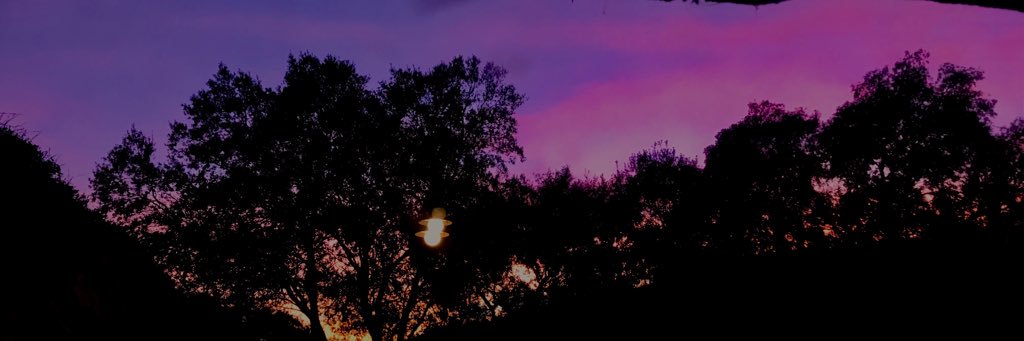 bryanprocelg's profile banner image