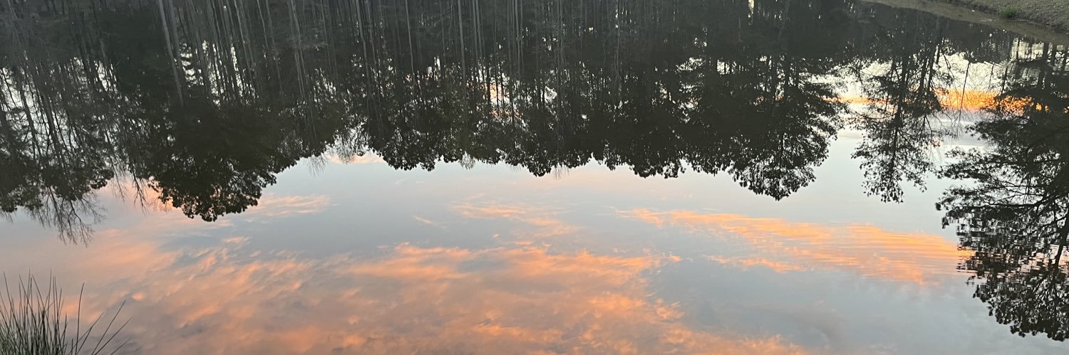 haileybergucci's profile banner image