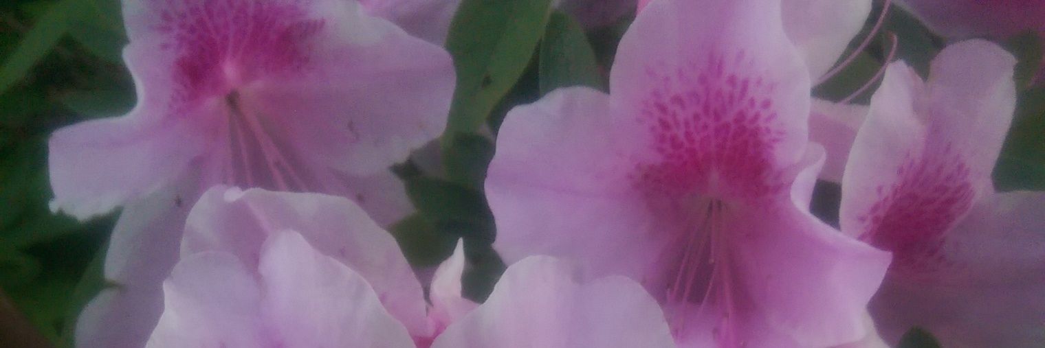jmcgrath110's profile banner image