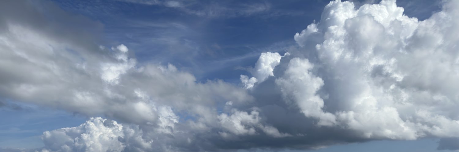David Levine banner