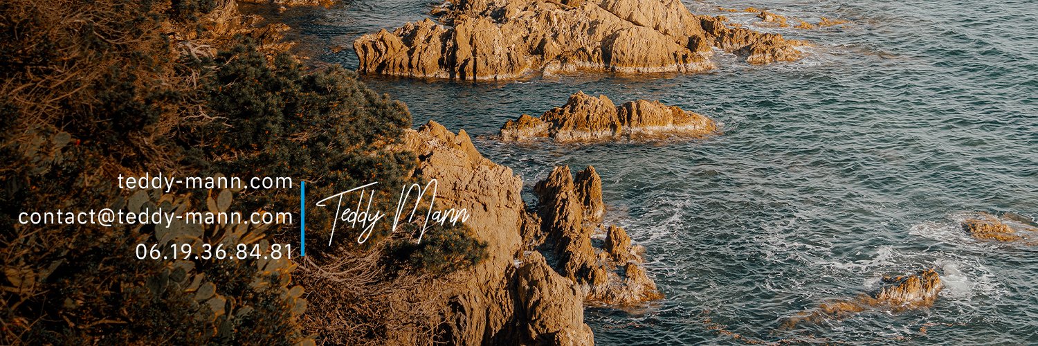 Teddy Mann banner