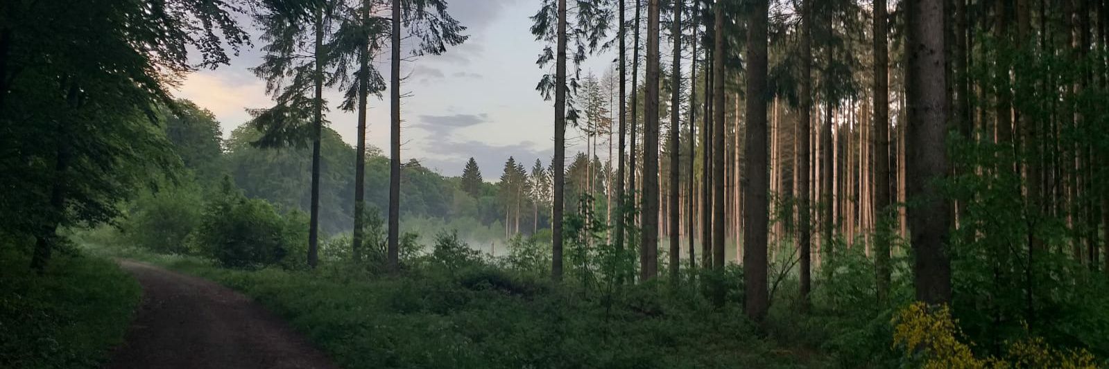 WR4THOFGOD's profile banner image