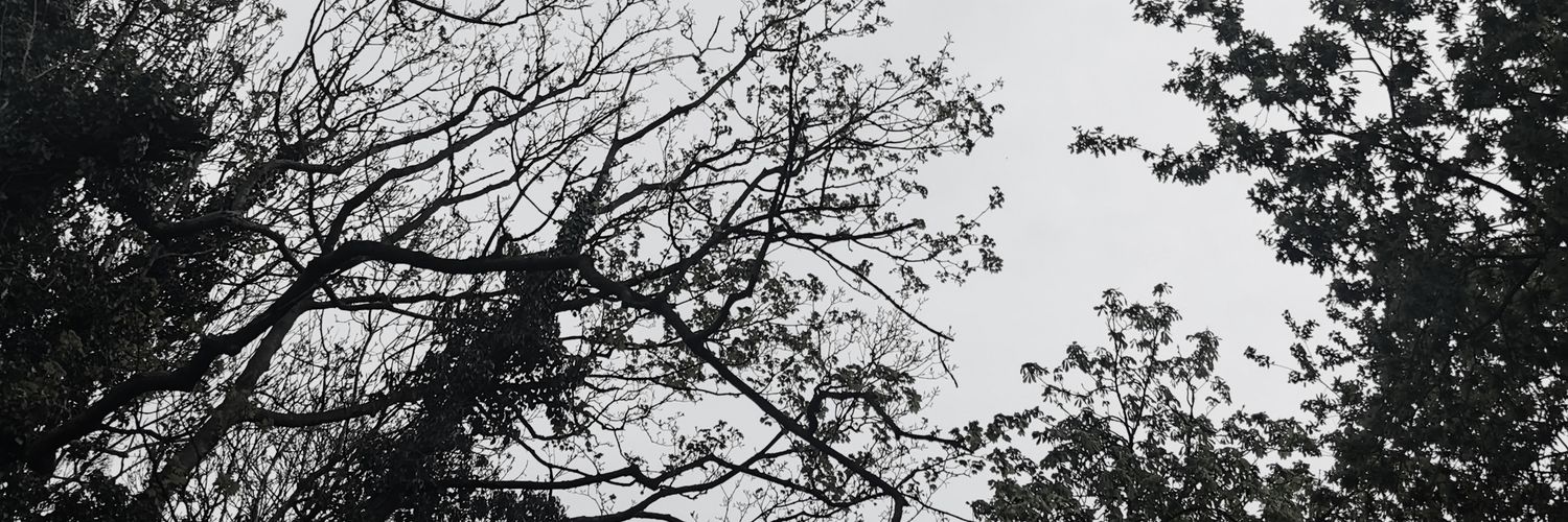 alexdyson19's profile banner image