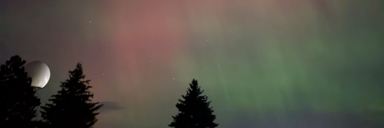 NWS Twin Cities's banner
