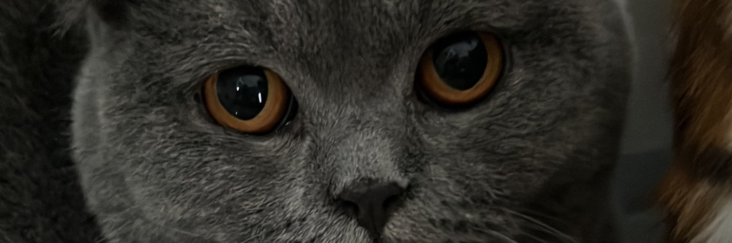 izwanisss's profile banner image