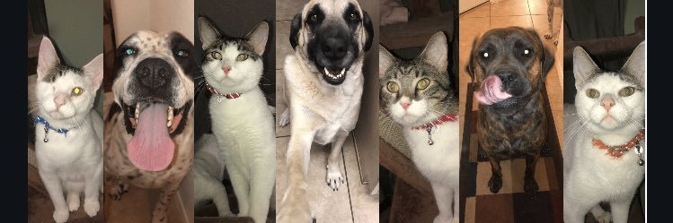 toraaaay__'s profile banner image