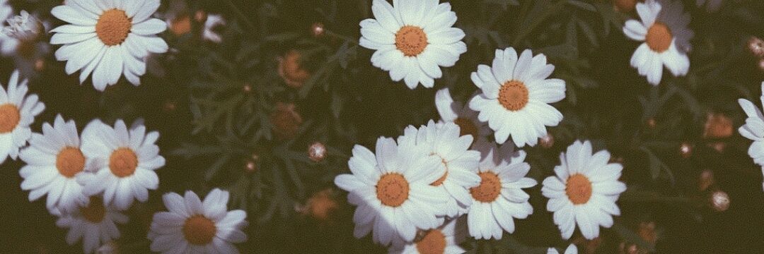 ItsMinnieMary's profile banner image