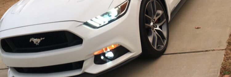 jay_jlynch's profile banner image