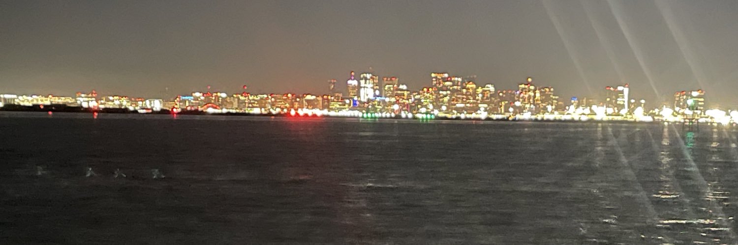 APichardini's profile banner image