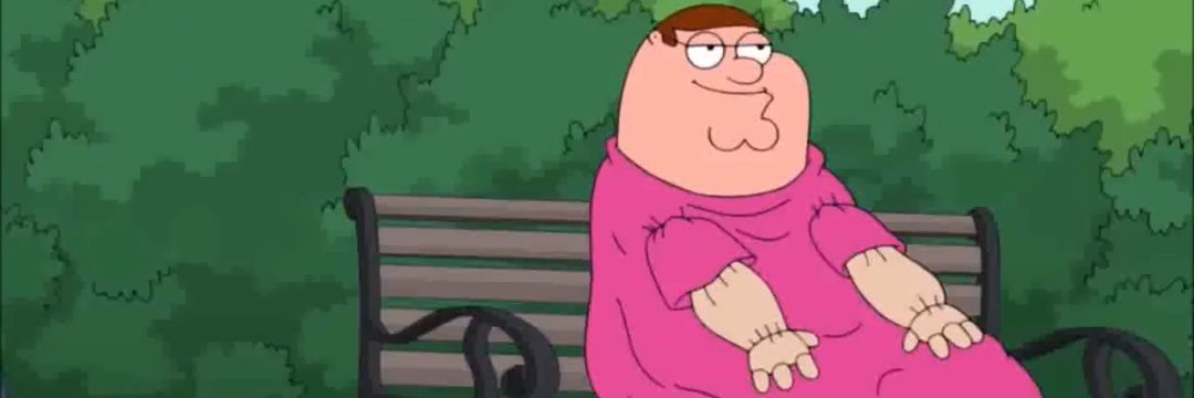 Papa Puma XIV banner