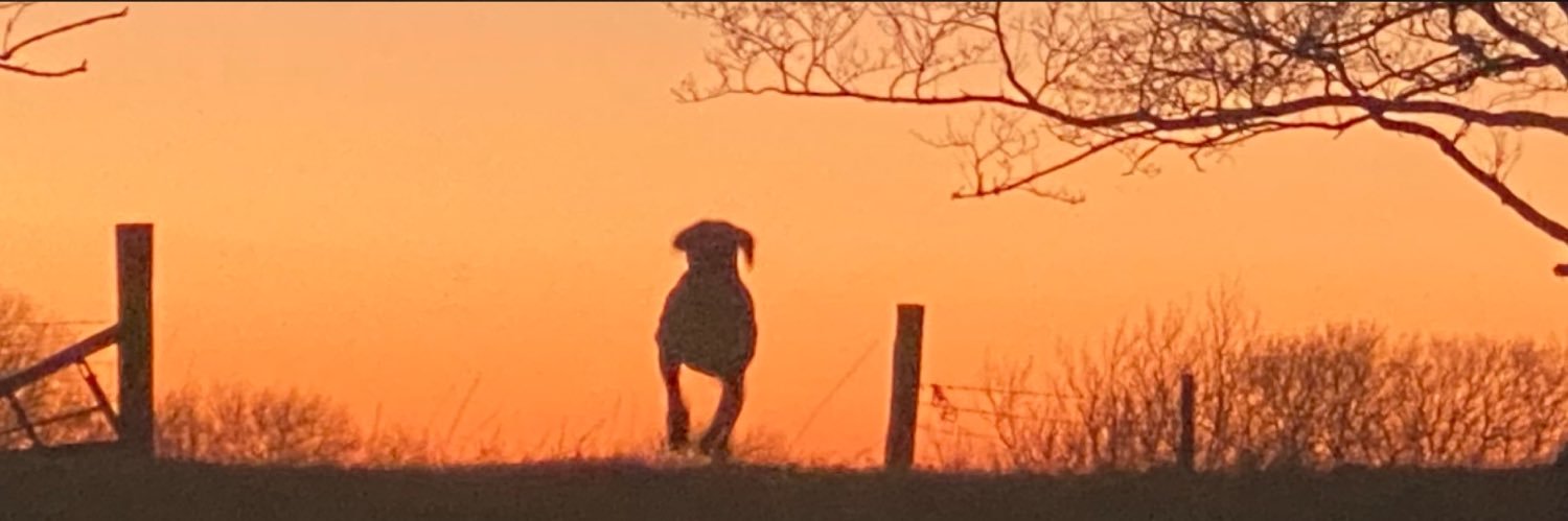 DoddKerry's profile banner image