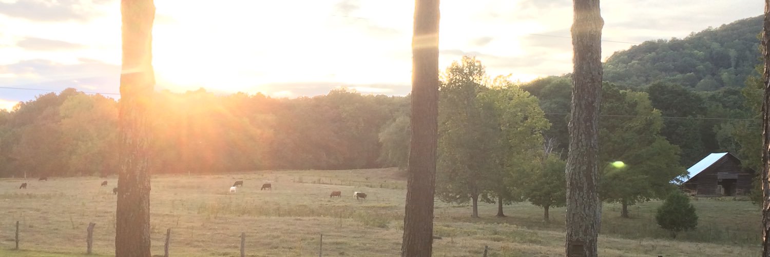 David Wessinger banner