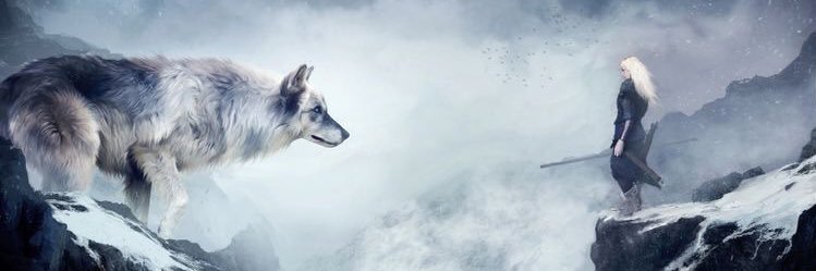 wolvekills91's profile banner image